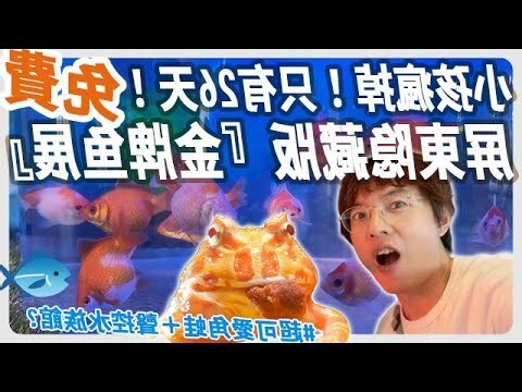 養魚的人 個性